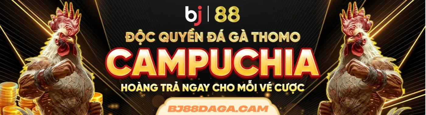 bj88daga cam